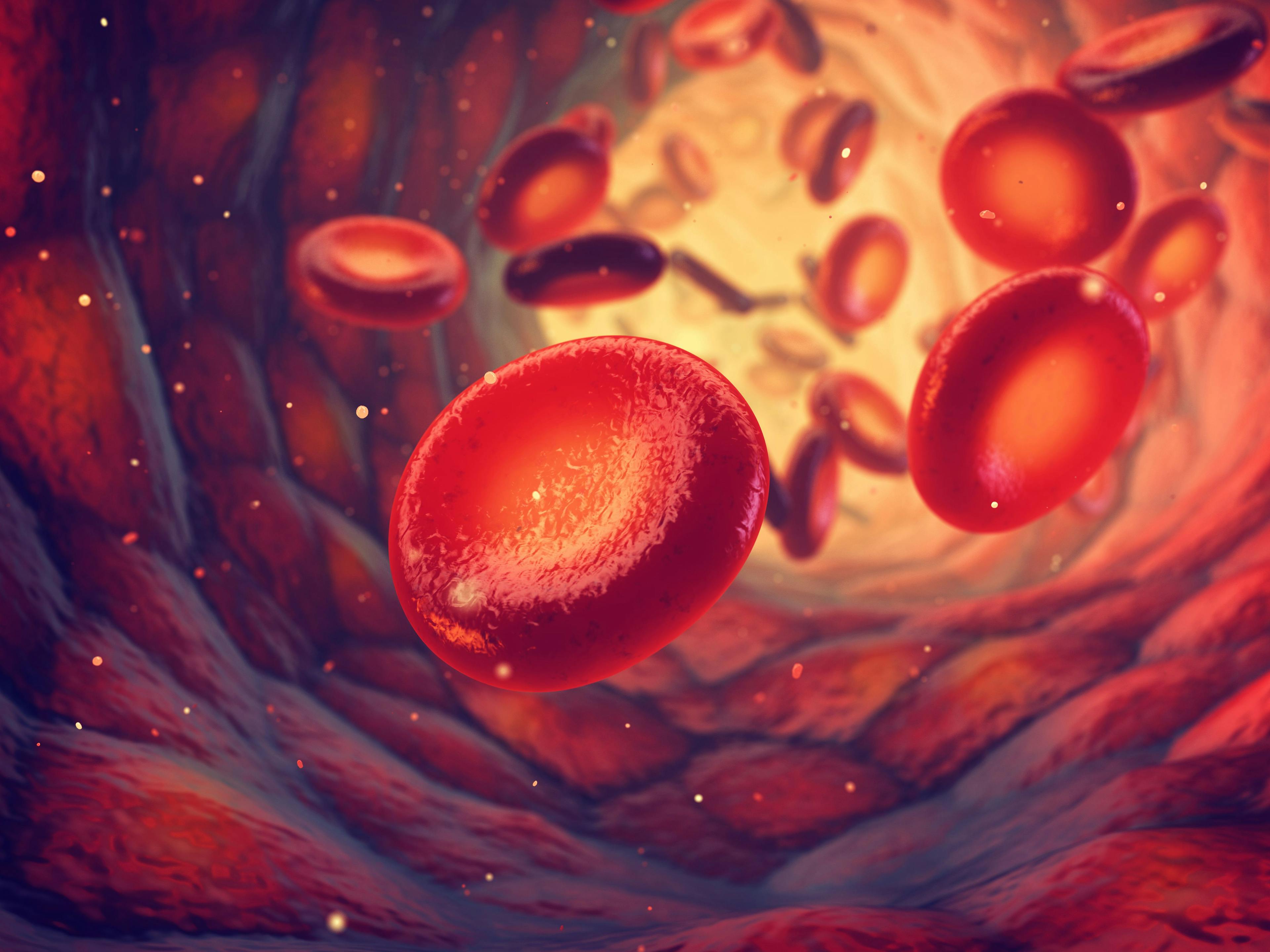 Red Blood Cells Play Significant Role in Immune System, Bind Cell-Free DNA